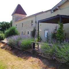 Beautiful holiday home with swimming pool