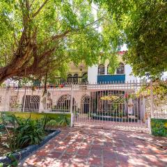 Hostal Casa Tropicalia