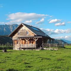 Chalet Steiners Blockhütte - STS220 by Interhome