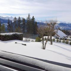 Apartment Cransalpin Apt- 3 - Secteur 1 by Interhome