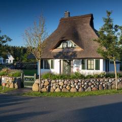 Ferienhaus Seeadler 42