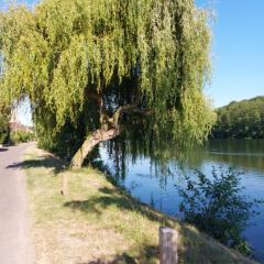 Calme au bord de l'eau