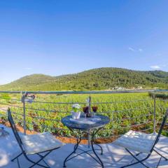 Apartments Filip - vineyard and large terrace