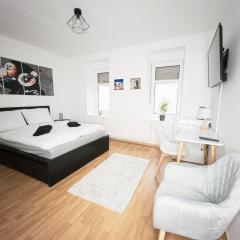 Stilvolles 1-Zimmer-Apartment im beliebten Plagwitz