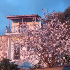 Stefanis traditional house - Kampos