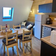 Appartement 4 à 5 personnes au pied des pistes