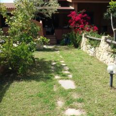 Rey Marina Romantica