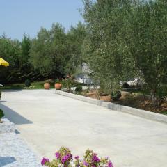 COUNTRY HOUSE IN OLIVE GROVE - Gerakini