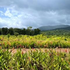 The Postcard Hideaway, Netravali Wildlife Sanctuary, Goa