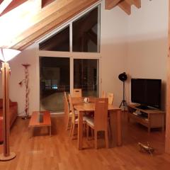Сozy Apartment with Garage in Davos, very close to WEF Congress Center