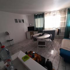 Un Studio Premium tout à nouveau rénové, centre ville