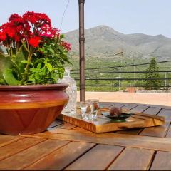 Traditional Residence with terrace
