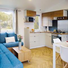 Charmant mobile-home 4 personnes - Camping 4 étoiles