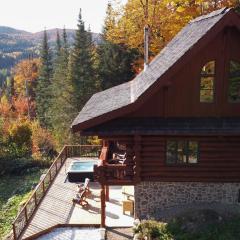 Breathtaking log house with HotTub - Summer paradise in Tremblant