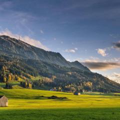 Allgäuer Heimat