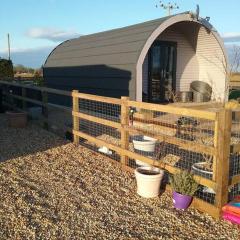 Heated Supersize Glamping Pod with ensuite bathroom, Wilburton, Nr Ely, Cambs