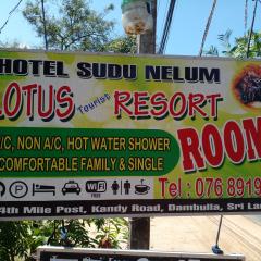ロータス イン ツーリスト リゾート（Lotus Inn Tourist Resort）
