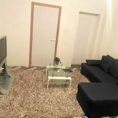 One bedroom apartement with wifi at Liege