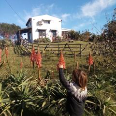 El Rancho de arenas de Jose Ignacio