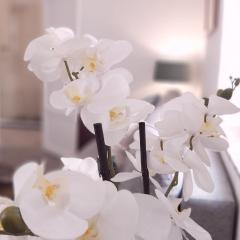 Del Parque Flats Alamos Terraza