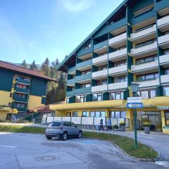 Panoramis apartment in Schladming