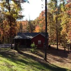Gas fireplace, firepit, and cedar Adirondack chair