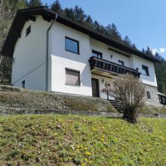 Ferienwohnung im Nationalpark Gesäuse