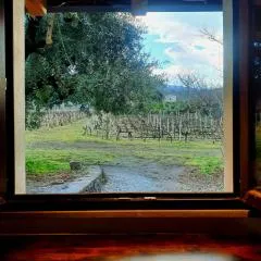 La finestra sul vigneto