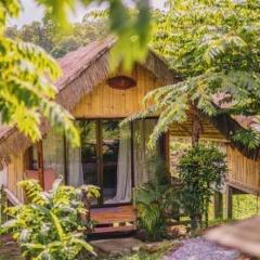 3 Pok Maewang jinxiang Gold elephant park