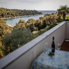 Apartments & Rooms Green Bay