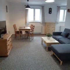 Černá v Pošumaví Apartmán