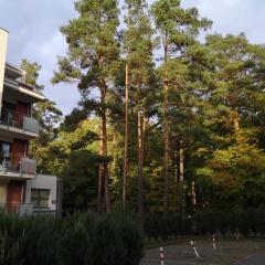 Nadmorski apartament w lesie