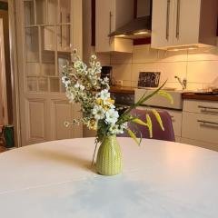 3Zimmer-Wohnküche-Altbau-90m2-eigener Parkplatz