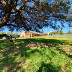 Huaco Casa de Campo