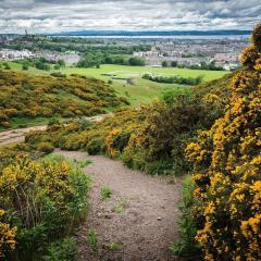 Holyrood Park Main Door Apartment