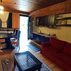 Traditional cozy apartments in Livadi Parnassos