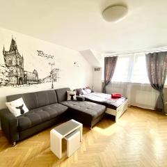 Fantastic apartment in the city center