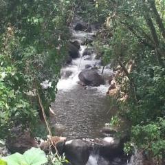 Coffee Garden Ranch Costa Rica