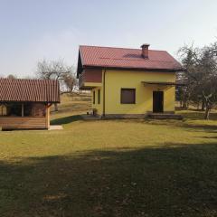 Zuta Kuca Sunca