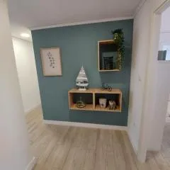 APARTAMENTO ROMA XI