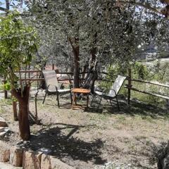 Rivierarent Appartamento Ulivo