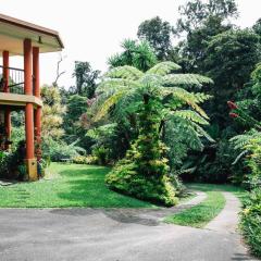 Studio in the Rainforest