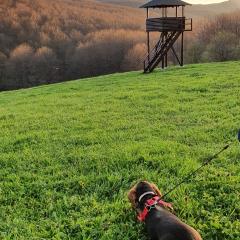 Vikendica Kločanica