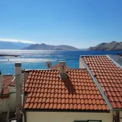 Apartments Alfa