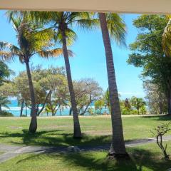 Grand studio 4 pers superbe vue mer et cocotiers dans Village Vacances Sainte-Anne plage à - 30 m