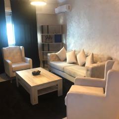 Beautiful apartment near downtown N 40