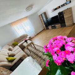 Andrei's house