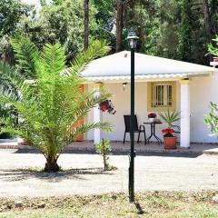 The Little House on Spingeli