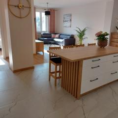 Apartament przy Jeziorku Magistrackim