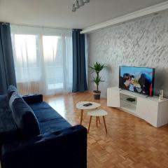 Apartman Blok 45 (reka Sava)